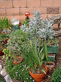 On The Garden Path: Containers Image